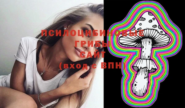 дмт Аркадак