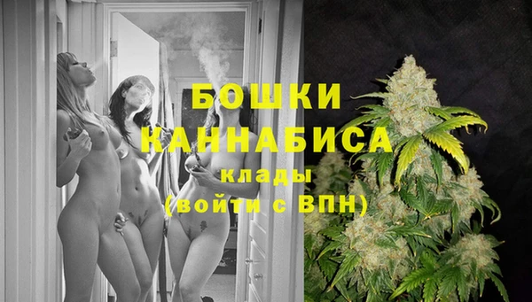 стаф Арсеньев