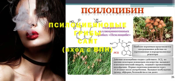стаф Арсеньев