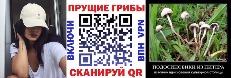 купить наркоту  МЕГА ONION  Галлюциногенные грибы Psilocybe  Лабытнанги 